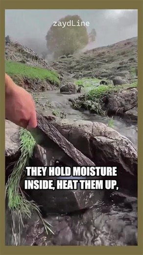 DANGEROUS Rocks for Cooking? Avoid Exploding Stones!