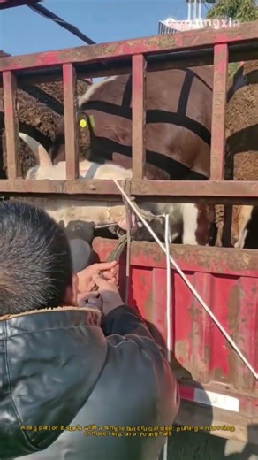 How to Lay Bricks Like a Pro | DIY Wall Building