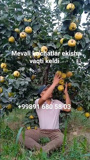 #music#motivation#memes#shorts