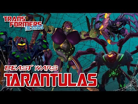 TRANSFORMERS: THE BASICS on TARANTULAS