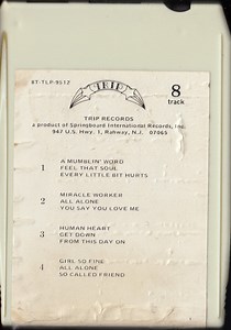 Jimi Hendrix - Moods