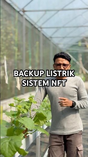 How to grow hydroponic melons using the NFT system - electricity backup #hydroponicmelon #melonga...