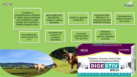 "Product Training on Keva veterinary products " | Keva Kaipo Industries Pvt Ltd