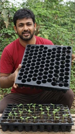 nursery seeding tray #businessidea #machine #digitalcreator #shortsvideo #businessshorts #wholesale