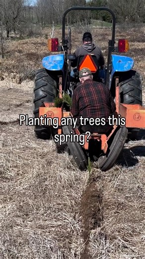 Planting any trees this spring?