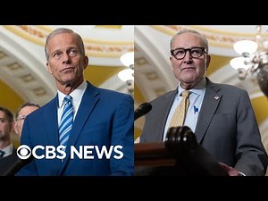 Watch: Thune and Schumer speak about government shutdown on Day 16