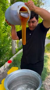 1.5M views · 24K reactions | L’Or Liquide : Un Miel rare Qui Transcende Ses Origines Graines de Pèlerins #fblifestyle | Graines de Pèlerins | Facebook