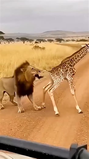 Go Fan AI on Instagram: "Japan is turning footsteps into electricity using piezoelectric tiles. Every step creates a small amount of energy, and millions of steps together power LED lights and digital systems-supporting a more sustainable urban future. 🌳 #Japan #FutureTechnology #RenewableEnergy #SmartCity #Innovation #forestry🌿"