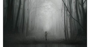 The Forest: Video Review