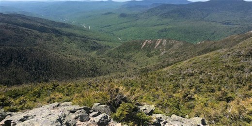 Overdue hiker found dead on Franconia Notch trail