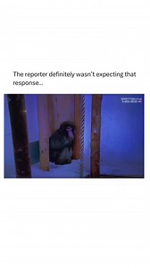 17K views · 51 reactions | Fair point  credit: @britishmemes | Loaded Magazine | Facebook