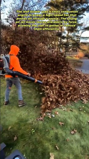 Powerful Leaf Blower in Action 🍂 | Efficient Lawn Cleaning Tutorial🇺🇲
