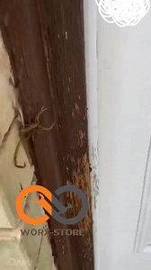 Biocal anti insectes ✨️✅️ | Worx store