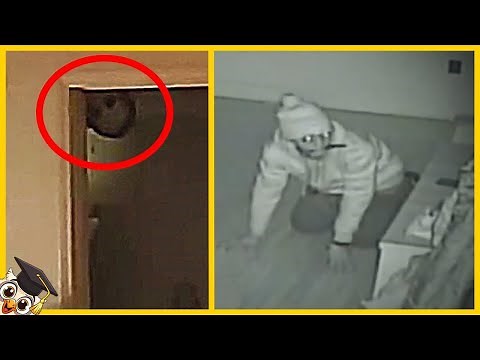 Les 10 Choses les plus Effrayantes Capturées par les Caméras de Sécurité - Partie 2