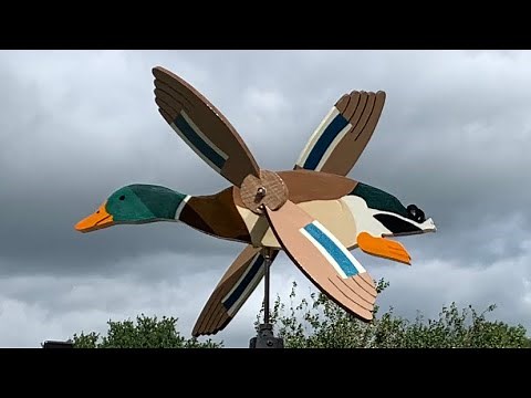 Whirligig Duck (Windspinner eend woerd)