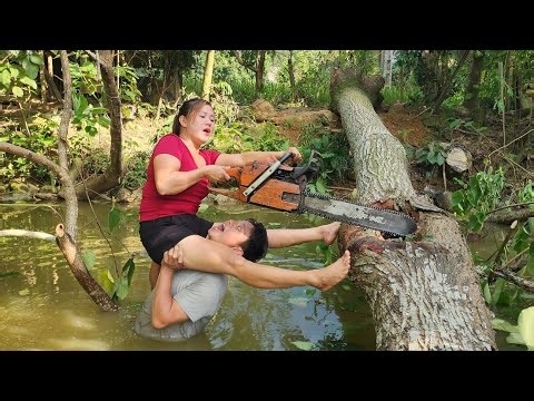 Agricultural vehicles transporting construction materials and timber