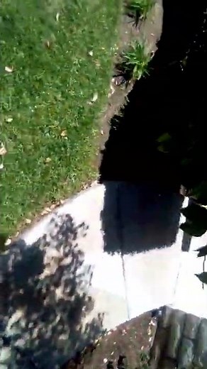 Rust_010 sighting Irl