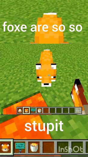 foxe are so so stupit 😂😂 #minecraft