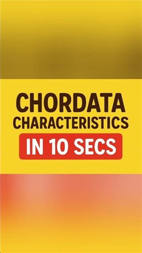 Phylum Chordata in 30 second #biologyshorts