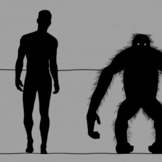Giganthopithecus blacki: The Giant Ancient Primate