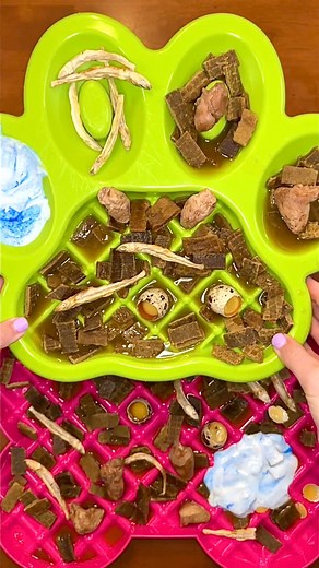 6.6K views · 68 reactions | Quick & easy dinner for Rudy, Rylie & Buddy  Use code Kayla15 for 15% off Pawfy 菱 #dogs #dogmom #dogfood #rawfeddog #dog #pawfypartner #dogtreats #kibble #reels #dogfeedingroutine #puppy | Kayla Kowalski Nutrition | Facebook