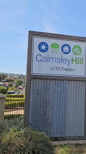 Calmsley Hill City Farm is paradise for animal lovers 🐮🐪 Milk a cow, hand feed the animals, ride a tractor and discover all the fun things to do at Calmsley Hill City Farm an interactive farm for children and families. . 📍31 Darling St, Abbotsbury | Western Sydney Mums