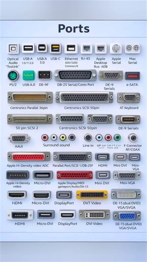 The History of Computer Ports: Everything from USB to SCSI! 🔌 Do You Recognize All These Ports?