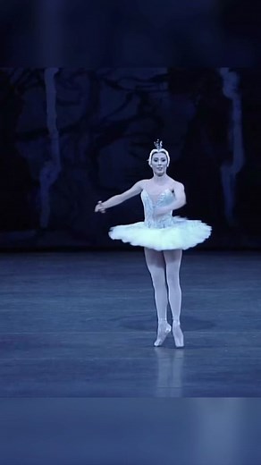 Black swan or white swan? 🦢 #ballerina #ballettok #blackswan #swanlake #ballet #whiteswan #pointeshoes #betterdays #duality #odette #odile