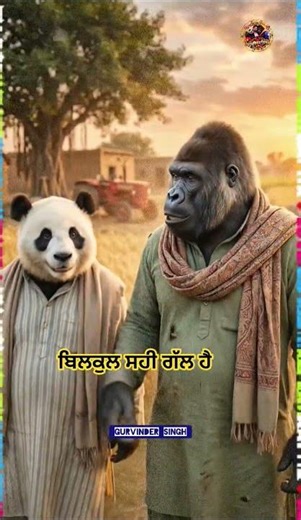 Gorilla and Panda funny part 81 | #gurvinder singh I #shoorts #funny #punjabicomedy