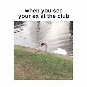 Kirill Was Here on Reels