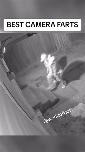 Best baby farts ! #fart #compilation #baby #farting #viral #reelkarofeelkaro #reels2025#reelsoftheday #reseller #reelviral #Foryou #Facebook #reelitfeelit #reelschallenge #foryoupage #viral #sneakerhead #blowthisup #viralvideo #usa #thebest #reelsviralfb #reelsvideoシ #reelsforyou #reelfacebook #reelsfacebook #reels2025 #reelviral | Super Car in the world