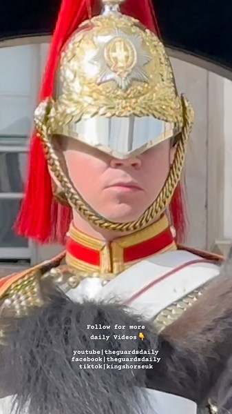 Mounted Boxmen - Blues and Royals Guard