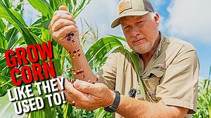 Hey Neighbor, Come take stroll with me out in the corn field. This evening, we're going to discuss the difference between modern-day corn and the classic, Jimmy Red Heirloom Corn. I am doing a deep dive into what truly sets these types of corn apart from others. Let's break down what makes a seed an heirloom, issues of corn lodging, the trade-offs between resilience and production, and much more! Let's grow together and get dirty, ya'll! CORN - https://growhoss.com/collections/corn WEBSITE - htt