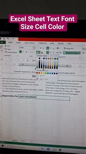 Excel me Cell me likhe huye Font ki size and Cell Color || #downloadsolutions