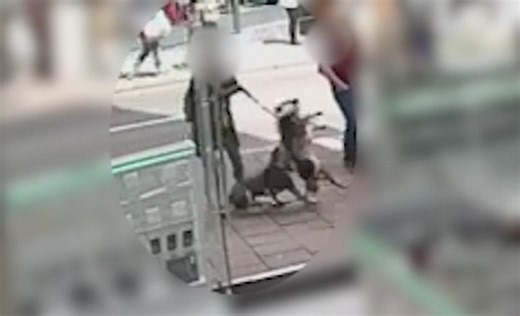Clips showing shocking moment dangerous dog launches savage attacks released