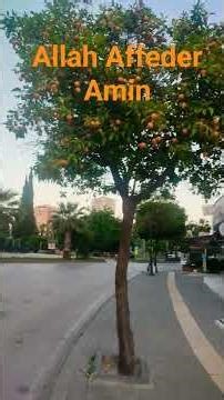 1 Mayıs 2026