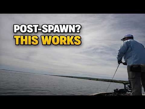 Post-Spawn Fishing: What Actually Works | Bass Fishing