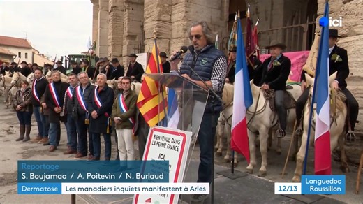 ✨ Reportage France 3 – Languedoc-Roussillon • JT 12/13 du 12/12/25 ✨ Les manadiers manifestent en Arles. | Ludo, la fé di biou