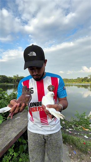 How to Get More TikTok Followers in Sylhet 2026