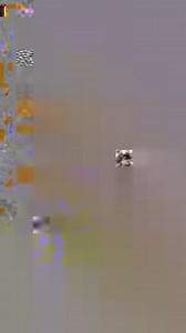 1.2K views · 1.4K reactions | We're bringing 1 fan and a guest to a...