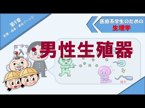 Physiology: Reproduction, Growth, and Aging Zone ① "Male Reproductive System"