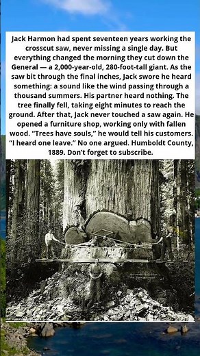 🌲😱 THE LUMBERJACK WHO HEARD THE TREE CRY
