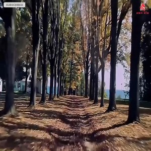 56K views · 566 reactions | TOP MOVIE NETFLIX TODAY | Type One Dance Company | Facebook