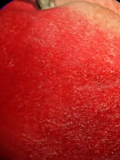Ice Cream Planets: A Fun Solar System Song for Kids
