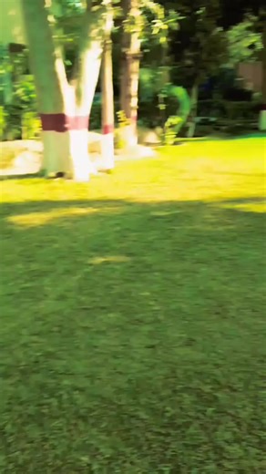 #creatorsearchinsights