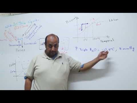 Lyophilization. Part 3