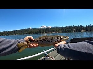 May ‘23 Diamond Lake Oregon