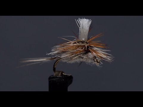 Beginner's Masterclass : Tying a Parachute Adams in Size 22