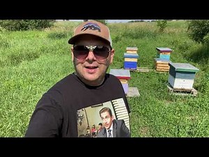 How toTreat Varroa with Organic Treatments