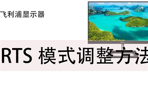 [阿尔法]飞利浦显示器RTS模式如何去掉左上角白框
